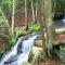 Dutchman Falls