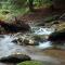 Whispering Water