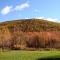 Loyalsock Valley