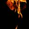 Abstract Flames (3)